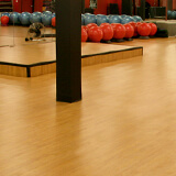 Omnisports PurePlay synthetic gym flooring for fitness environments