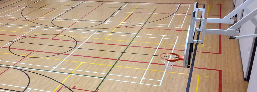 Gymnasium flooring surface and basketball net