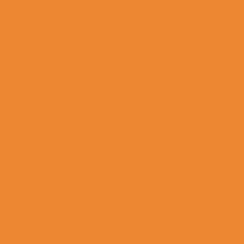 Orange colour swatch for Omnisports
