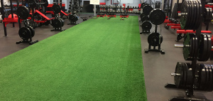 Synthetic turf track and MaxMat+ rubber floor in fitness centre